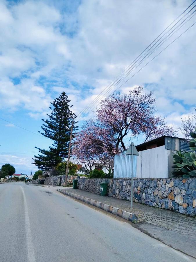 Royal Life Residence Poseidon Studio Trikomo Dış mekan fotoğraf